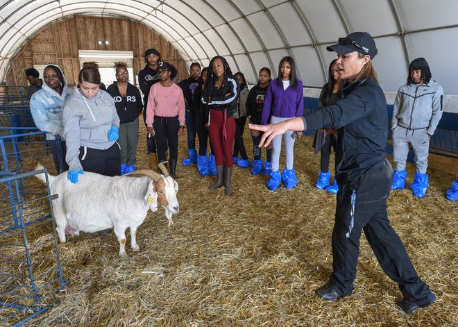 Dr. Kimberly Braxton, the interim founding dean at the University of Maryland-Eastern Shore's vet school, discusses goats being born on the campus's farm with students.