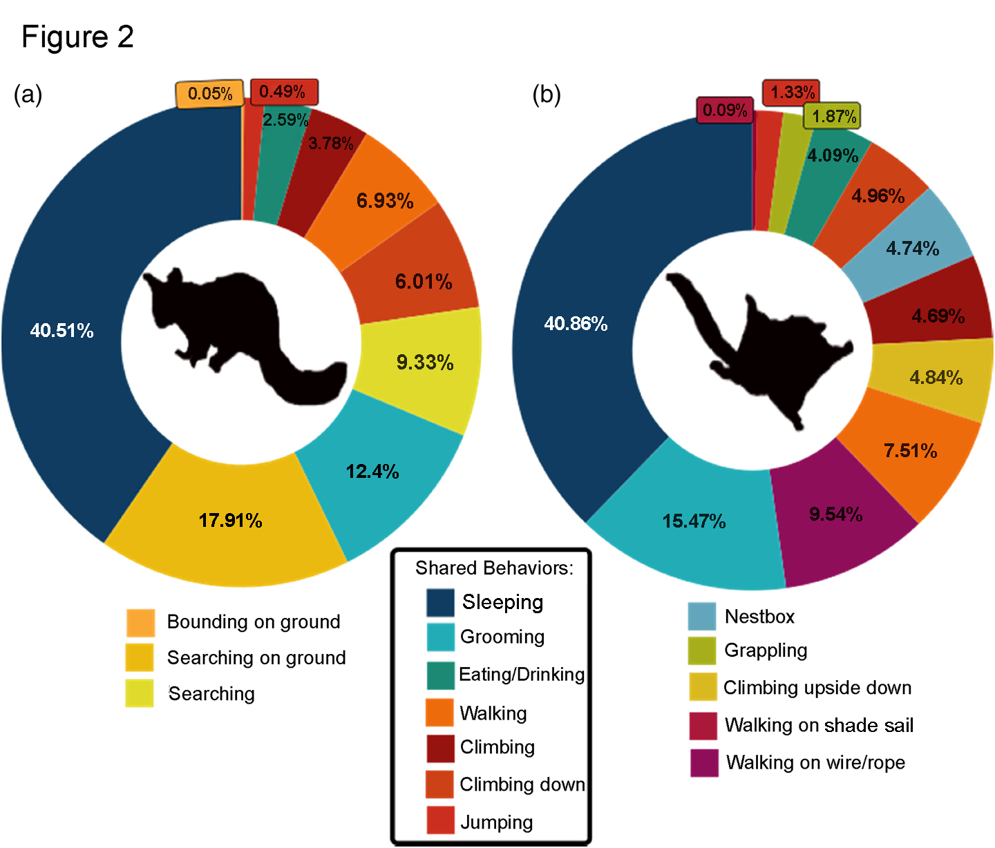 two pi charts showing how often mahogany gliders and brushtail possums spent doing various activities
