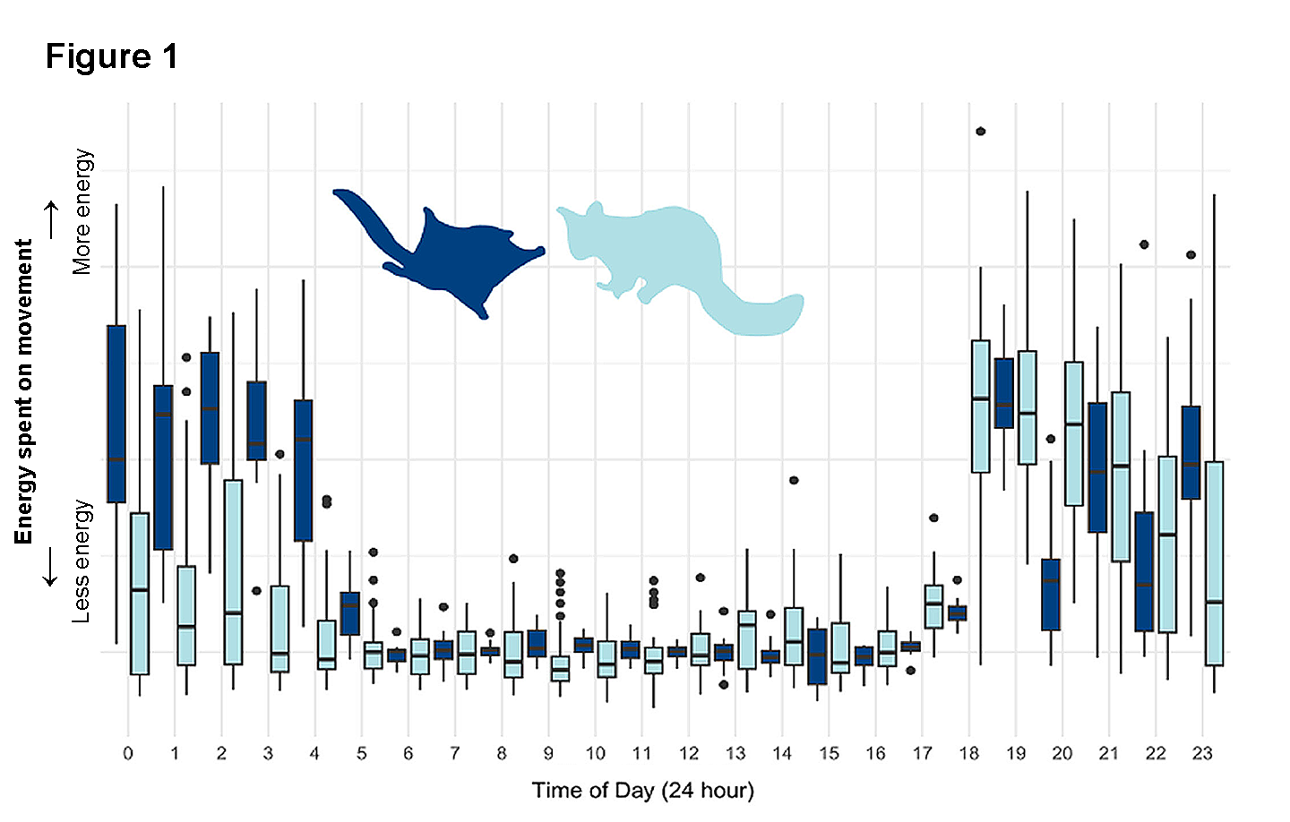 a bar chart showing how much energy spent versus time of day for each marsupial